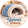 Velvet Paw - Home